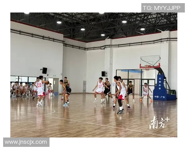 英超赵静深度解析篮球技巧与心得分享助你提升球技