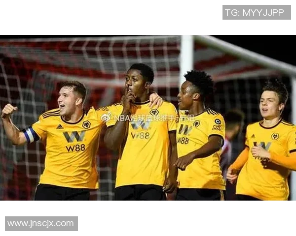 英超聚焦羽毛球深圳羽毛球队战术分析与未来发展探讨 英超聚焦羽毛球深圳羽毛球队战术分析与未来发展探讨