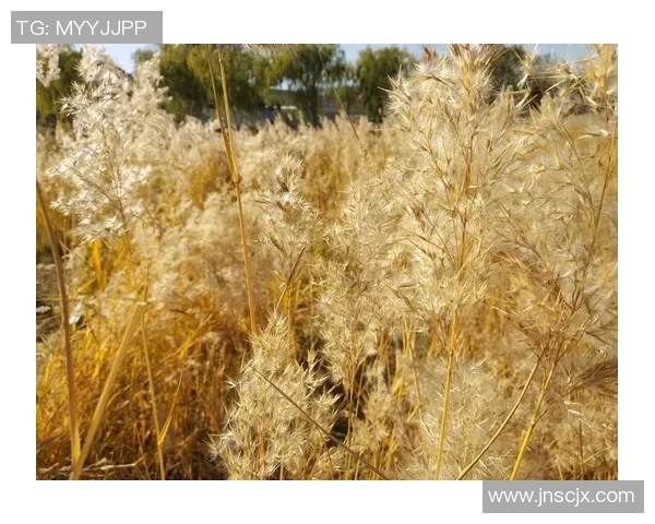 吴磊专访:畅谈滑板之路与成长经历的点滴回忆实时数据